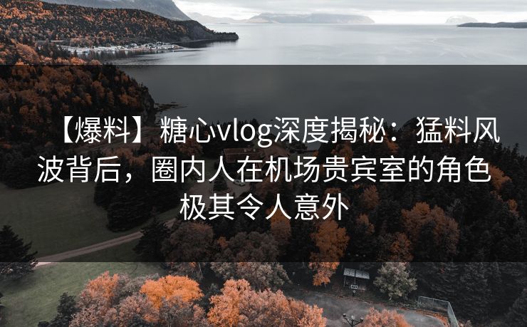 【爆料】糖心vlog深度揭秘：猛料风波背后，圈内人在机场贵宾室的角色极其令人意外