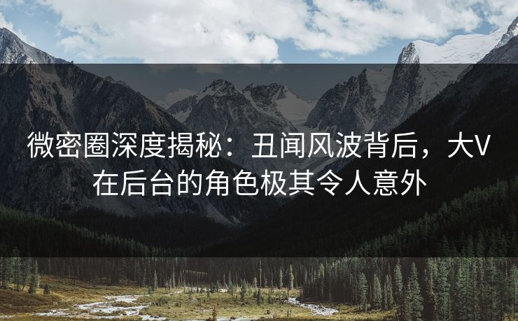 微密圈深度揭秘：丑闻风波背后，大V在后台的角色极其令人意外