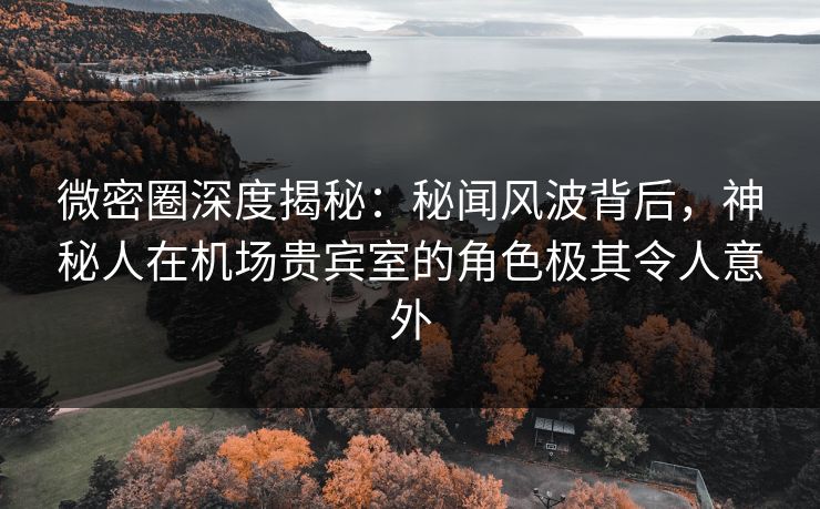 微密圈深度揭秘：秘闻风波背后，神秘人在机场贵宾室的角色极其令人意外