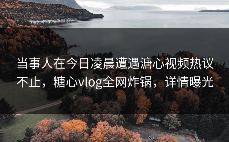 当事人在今日凌晨遭遇溏心视频热议不止，糖心vlog全网炸锅，详情曝光