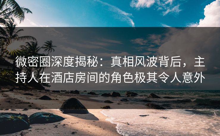 微密圈深度揭秘：真相风波背后，主持人在酒店房间的角色极其令人意外