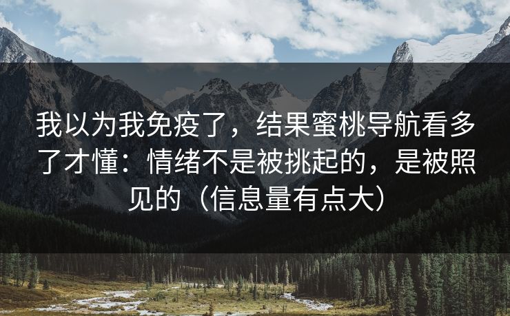 我以为我免疫了，结果蜜桃导航看多了才懂：情绪不是被挑起的，是被照见的（信息量有点大）